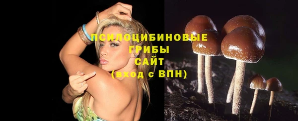 гидра Абдулино