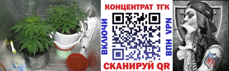 Дистиллят ТГК гашишное масло  Сураж 