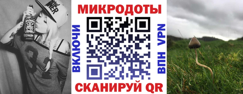 где найти Сураж Галлюциногенные грибы Cubensis